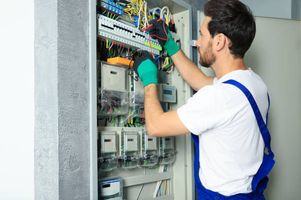Best Affordable Electrician  in Panacea, FL